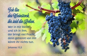 Doppelkarte - Johannes 15,5